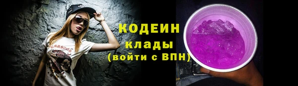 тгк Няндома