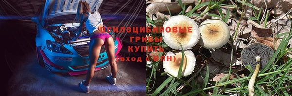 первитин Новодвинск