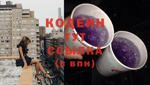 тгк Няндома
