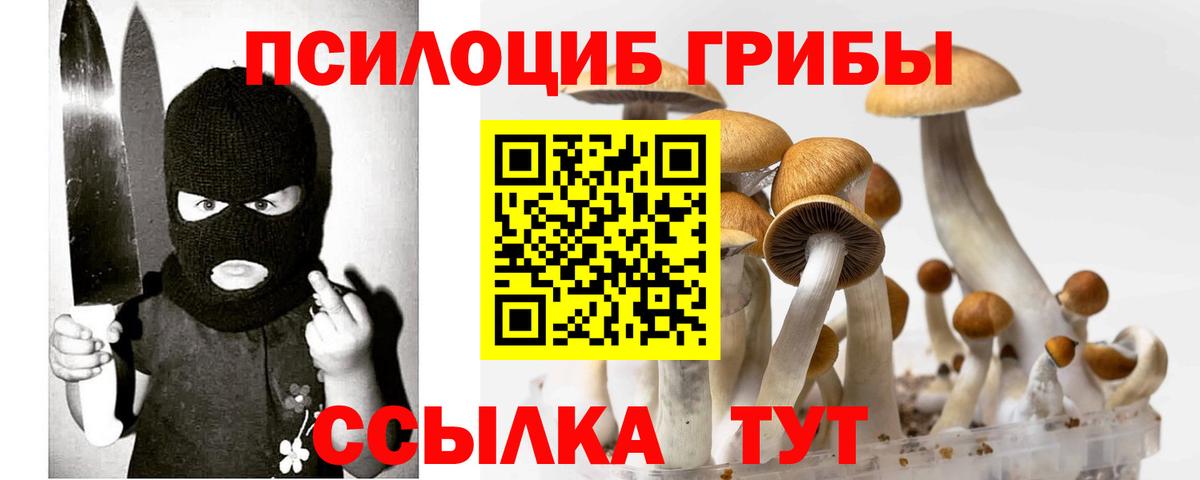 Псилоцибиновые грибы мухоморы Тавда