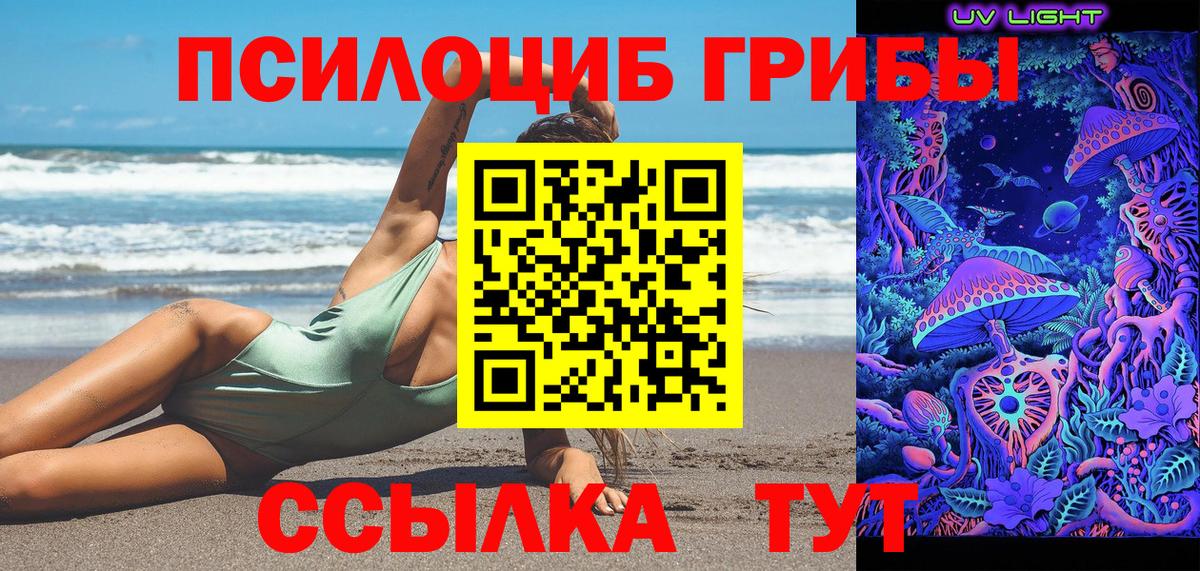 Псилоцибиновые грибы прущие грибы  Тавда 